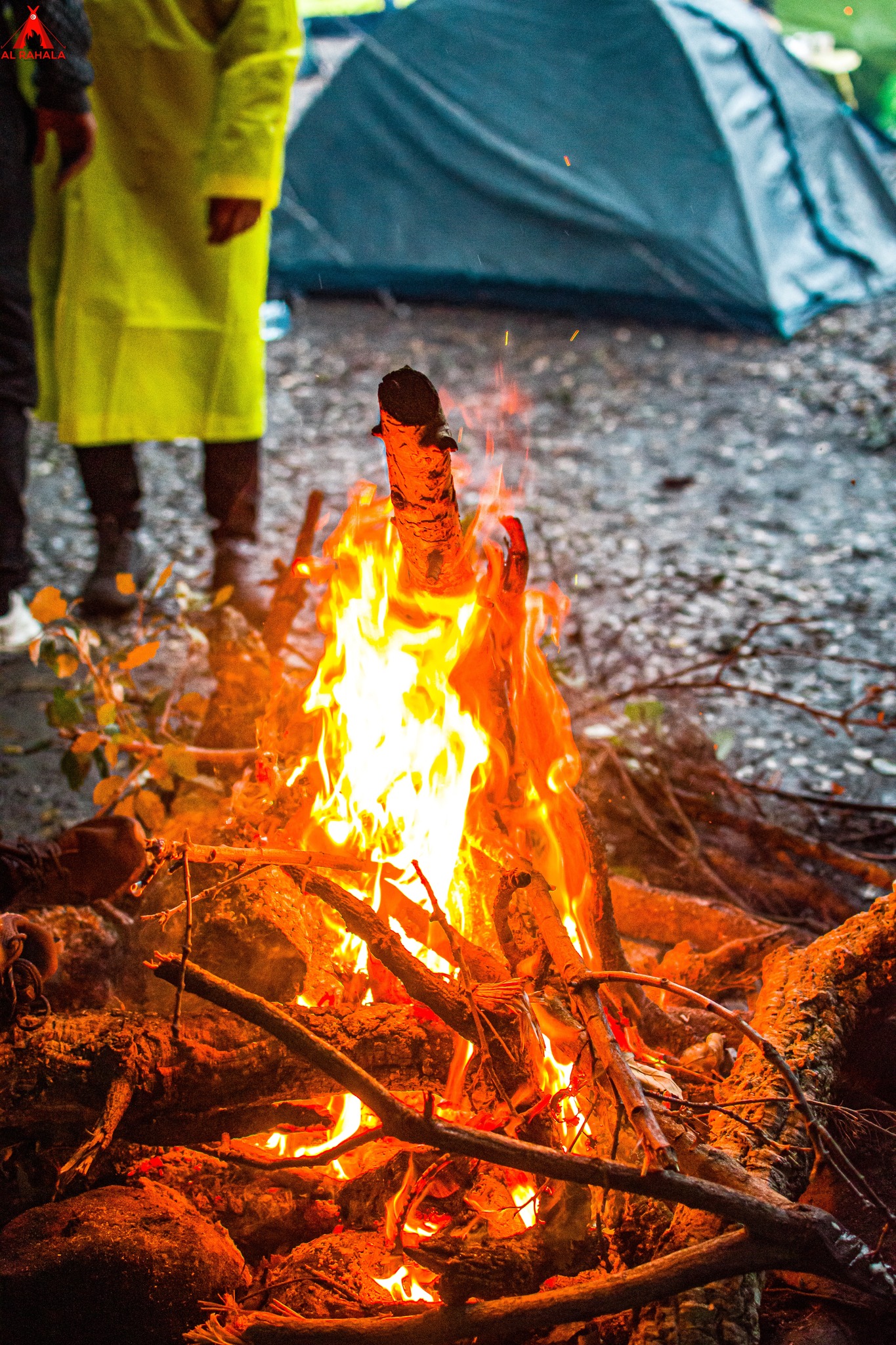 Idées pour un Camping réussi en Tunisie